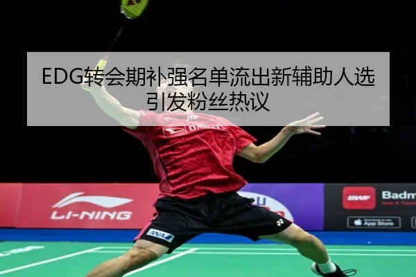 EDG转会期补强名单流出新辅助人选引发粉丝热议 - NGSPORTS
